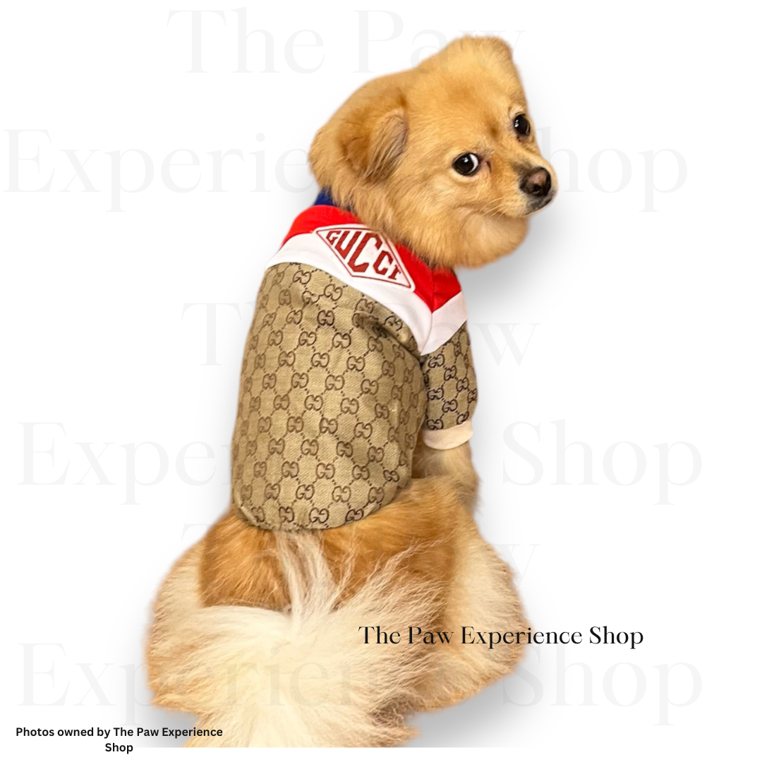 Gucci dog jacket hotsell